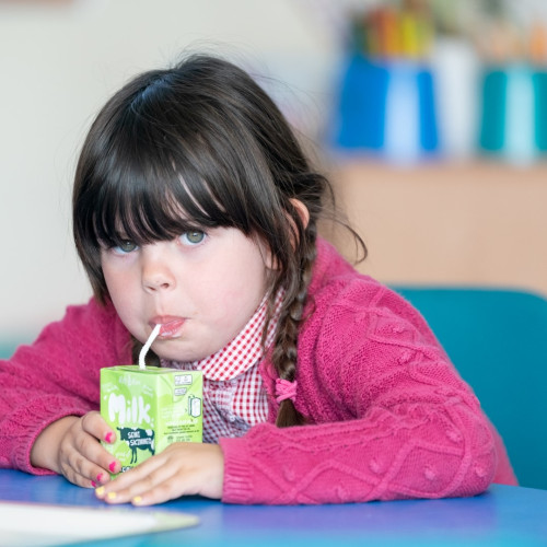 © Antingham_Southrepps Primary School (120)