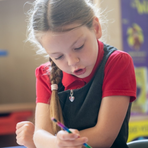 © Antingham_Southrepps Primary School (152)