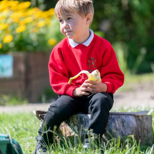 © Antingham_Southrepps Primary School (203)