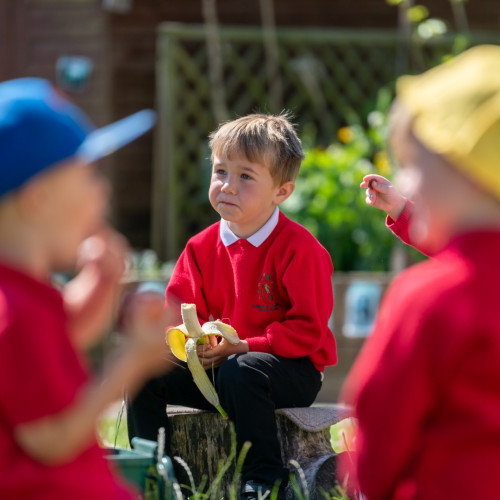 © Antingham_Southrepps Primary School (207)